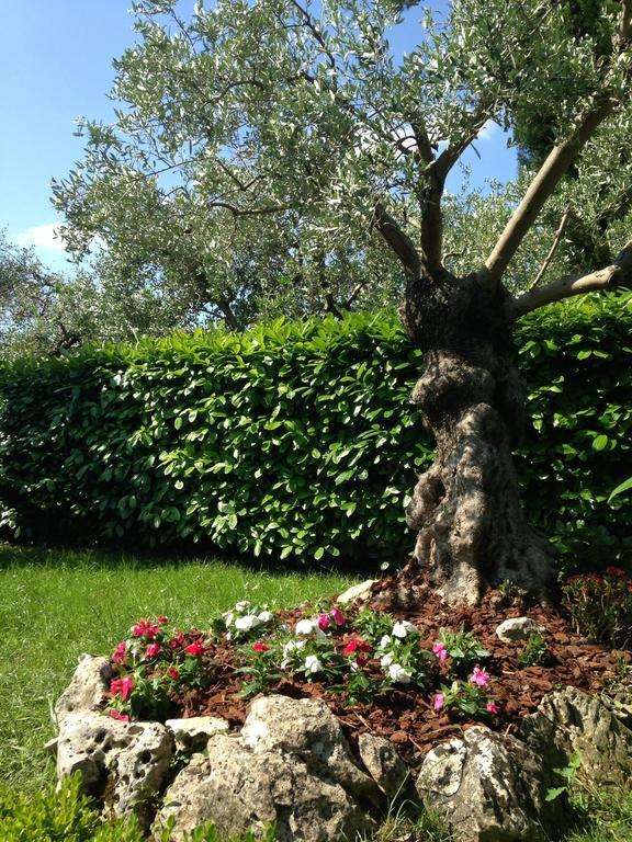Da Debbie San Giovanni In Marignano Kamer foto